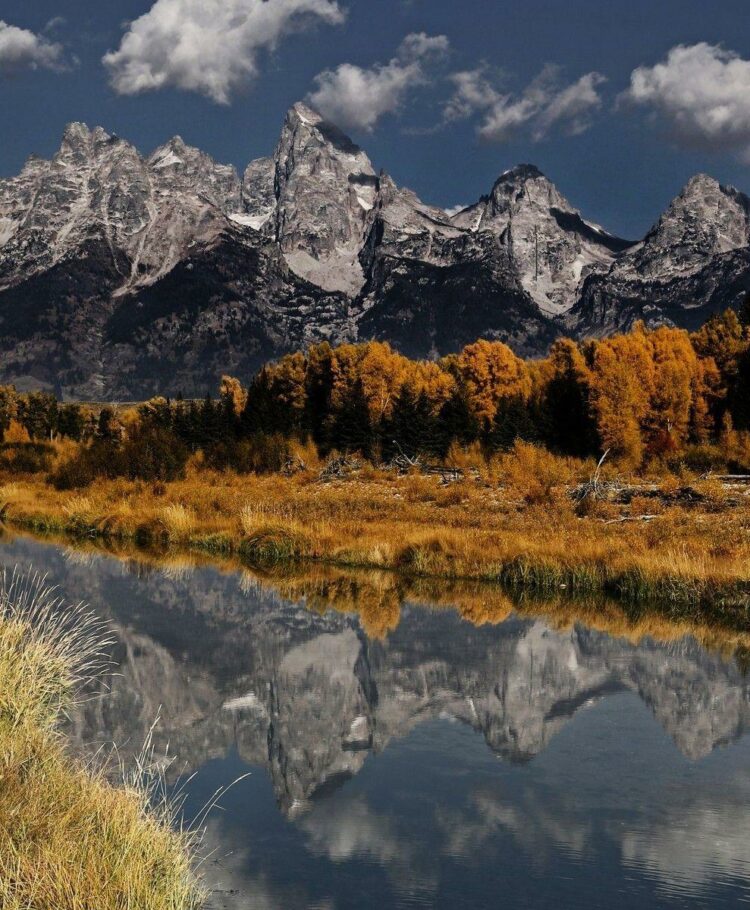 2024 Arkansas All State Arkansas Fastpitch USSSA